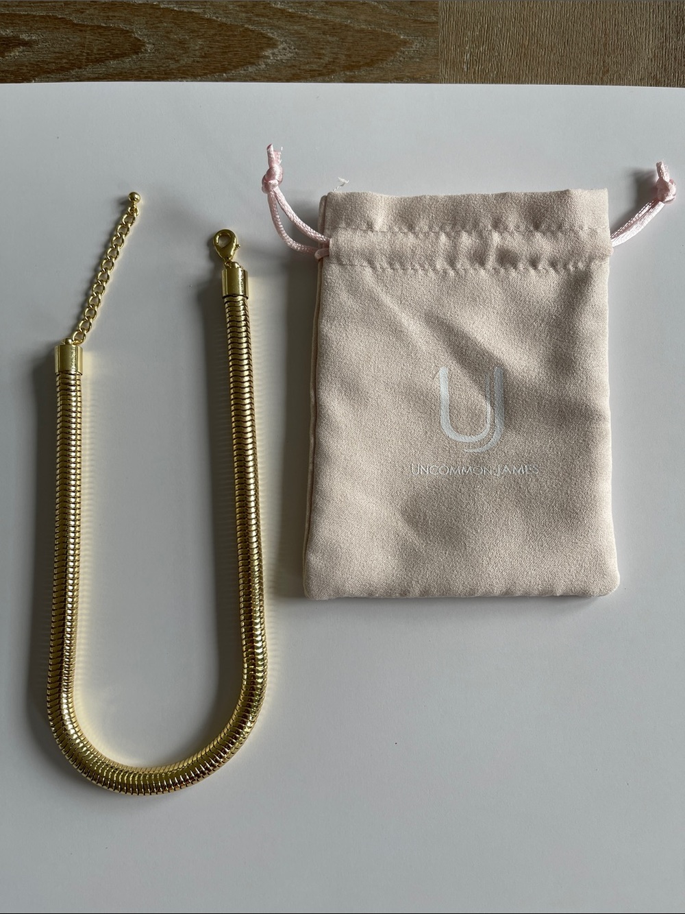 Uncommon James Gold Hinge Choker with Branded Pouch
